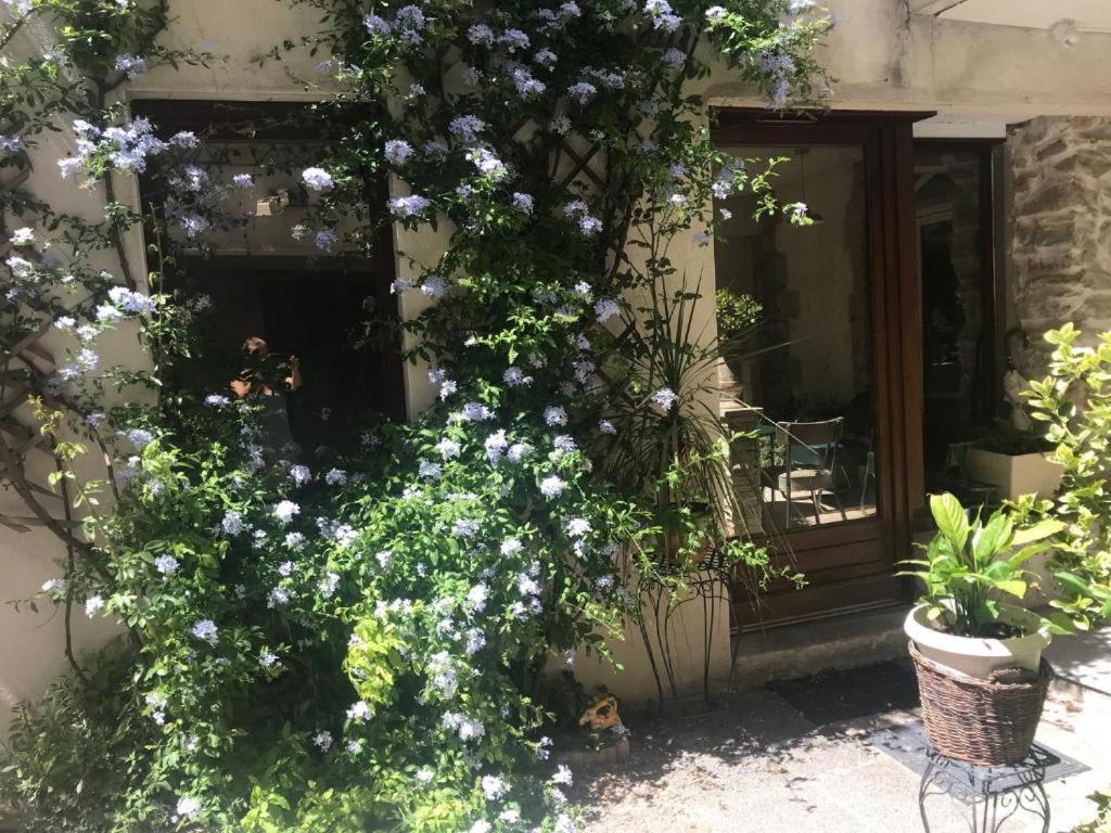 Studio Tres Calme En Plein Centre Ville Entree Independante لونيه المظهر الخارجي الصورة